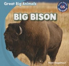 Cover Big Bison
