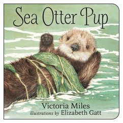 Sea Otter Pup - Miles, Victoria