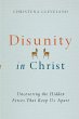 Disunity in Christ - Bild 1