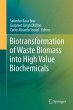 Biotransformation of Waste Biomass into... - Bild 1