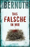 Das Falsche in mir / Lukas Salfeld und Sina Rastegar Bd.1
