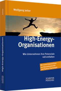 High-Energy-Organisationen - Jetter, Wolfgang