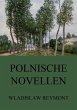 Polnische Novellen (eBook, ePUB) - Bild 1