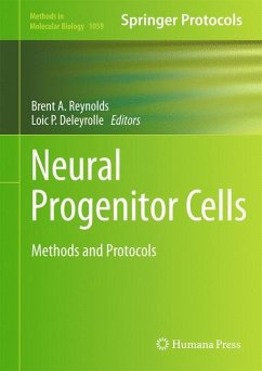 Neural Progenitor Cells