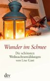 Wunder im Schnee. Die schönsten Weihnachtserzählungen von Lise Gast