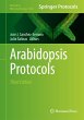 Arabidopsis Protocols - Bild 1