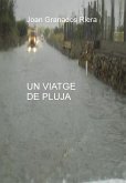 Un viatge de pluja (eBook, ePUB)