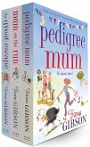 Fiona Gibson 3 Book Bundle (eBook, ePUB) Fiona Gibson 3 Book Bundle (eBook, ePUB)