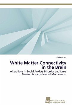 White Matter Connectivity in the Brain - Baur, Volker