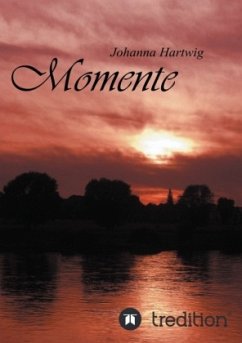 Cover Momente