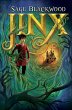 Jinx (eBook, ePUB) - Bild 1