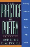 The Practice of Poetry (eBook, ePUB)