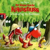 Schulausflug ins Abenteuer / Die Abenteuer des kleinen Drachen Kokosnuss Bd.19 (MP3-Download)