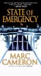 State of Emergency (eBook, ePUB) - Bild 1