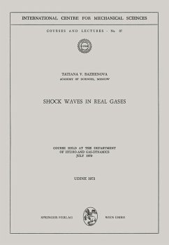 Shock Waves in Real Gases - Bazhenova, Tatiana V.