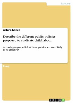 Describe the different public policies proposed to eradicate child labour. (eBook, ePUB)