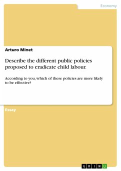 Describe the different public policies proposed to eradicate child labour. (eBook, ePUB) - Minet, Arturo