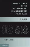 Stone Tools in the Paleolithic and Neolithic Near East (eBook, ePUB)