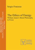 The Ethics of Energy