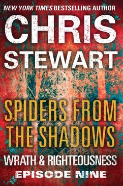 Cover Spiders from the Shadows (eBook, ePUB)