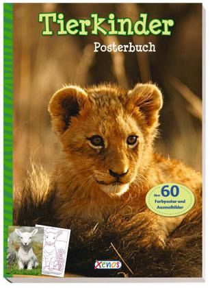 Posterbuch: Tierkinder Posterbuch: Tierkinder