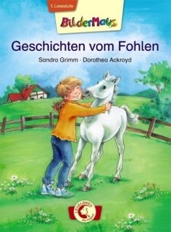 Geschichten vom Fohlen - Grimm, Sandra