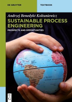 Sustainable Process Engineering - Koltuniewicz, Andrzej B.