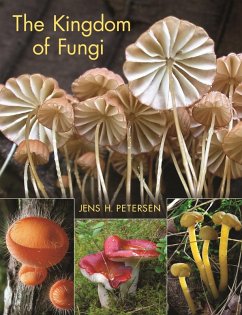 Cover Kingdom of Fungi (eBook, PDF)