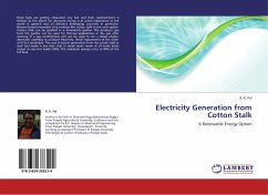 Electricity Generation from Cotton Stalk