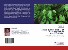 In vitro culture studies of Cardiospermum halicacabum L.