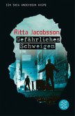 Gefährliches Schweigen / Svea Andersson Bd.2