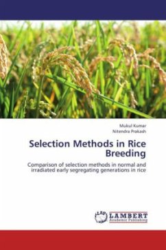 Selection Methods in Rice Breeding
