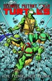 Alte Feinde, neue Feinde / Teenage Mutant Ninja Turtles Bd.2