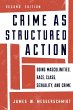 Crime as Structured Action - Bild 1