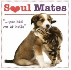 Soul Mates: You Had Me at Hello