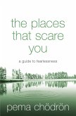 The Places That Scare You (eBook, ePUB)