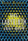 Das Labyrinth jagt dich / Labyrinth Bd.2