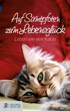 Auf Samtpfoten zum Lebensglück - Taschenbuchausgabe - Kail, Angelika