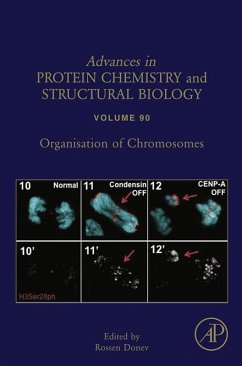 Cover Organisation of Chromosomes (eBook, ePUB)