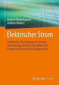 Elektrischer Strom - Niederhausen, Herbert;Burkert, Andreas
