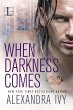 When Darkness Comes (eBook, ePUB) - Bild 1