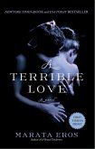 A Terrible Love (eBook, ePUB)
