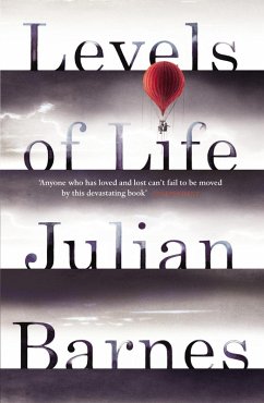 Levels of Life (eBook, ePUB) - Barnes, Julian