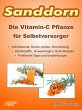 Sanddorn. Die Vitamin-C Pflanze für... - Bild 1