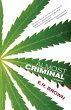 Almost Criminal (eBook, ePUB) - Bild 1