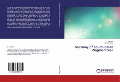 Anatomy of South Indian Zingiberaceae