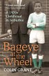 Bageye at the Wheel (eBook, ePUB) - Bild 1