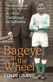 Bageye at the Wheel (eBook, ePUB)