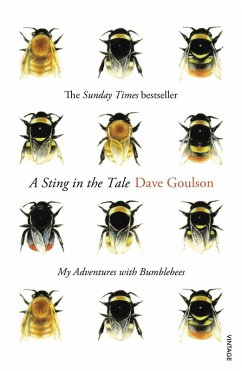 A Sting in the Tale (eBook, ePUB) - Goulson, Dave