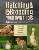 Hatching & Brooding Your Own Chicks (eBook, ePUB)